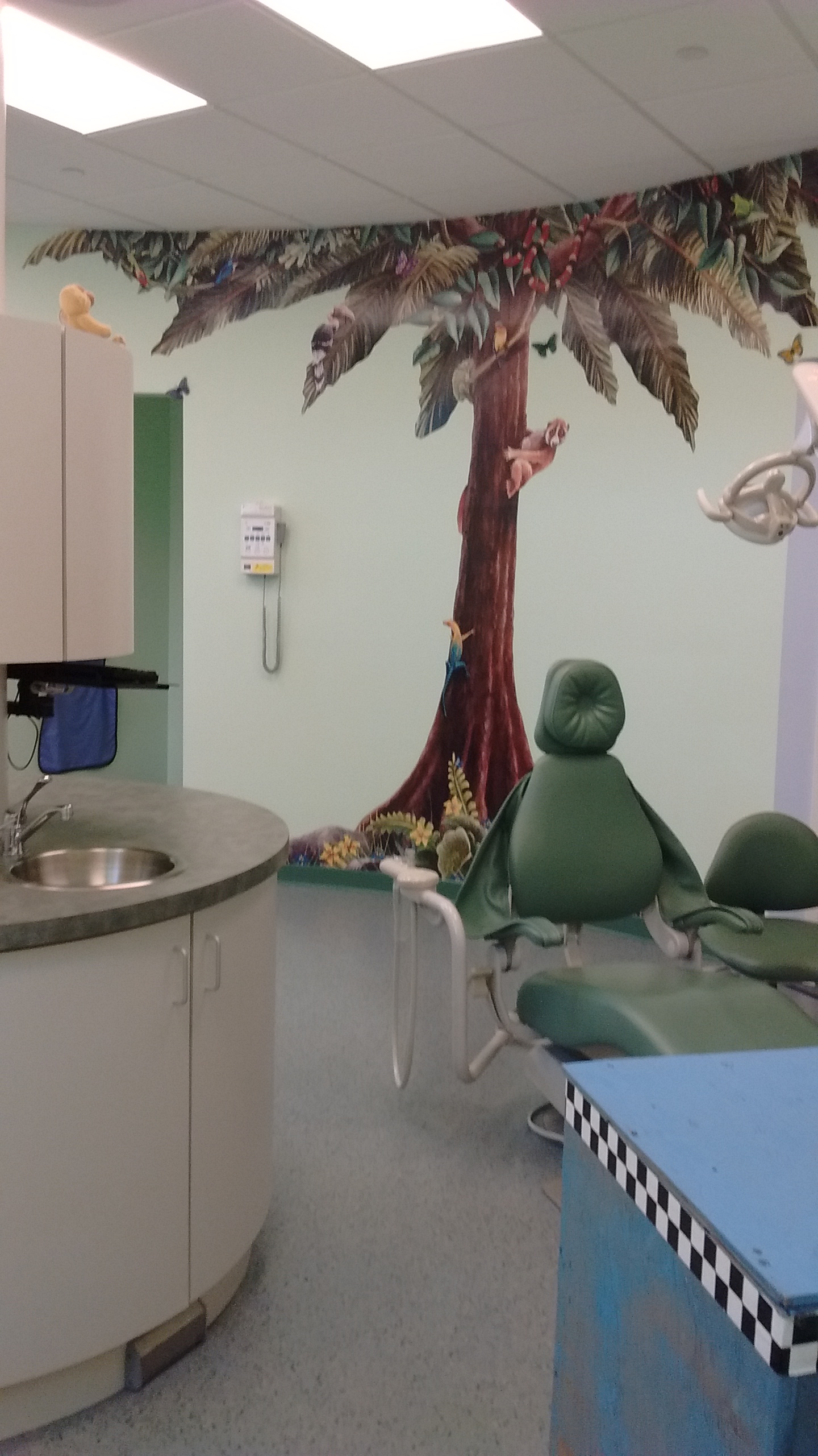 Office photo for Dr. Fern Cytryn